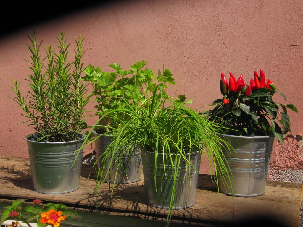 Terre Del Cardinale Country Suites Catania Ngoại thất bức ảnh